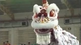 2007 Kun Seng Keng KSK Lion Dance  MALAYSIA 马来西亚关圣宫醒狮团冠军 [upl. by Ilana]