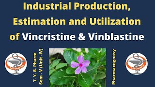 Industrial Production Estimation and Utilization of Vincristine and Vinblastine HINDI [upl. by Yttiy]