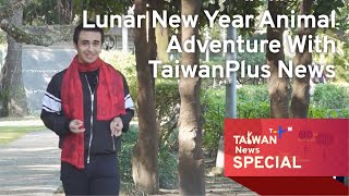 Lunar New Year Animal Adventure With TaiwanPlus News – 1830 January 25 2023  TaiwanPlus News [upl. by Atalya]