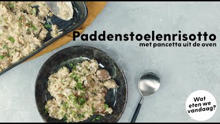 Wat eten we vandaag Paddenstoelenrisotto met pancetta uit de oven  Allerhande [upl. by Warrenne374]