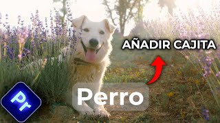 Añade una cajita de Texto en Premiere Pro Tutorial rápido [upl. by Birkett]