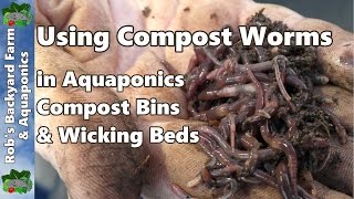 Using compost worms around the yard Wicking worm beds Aquaponics amp compost [upl. by Dehsar577]