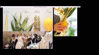 Chag Sukkot in Yisrael 4 Beginners [upl. by Adnolahs422]