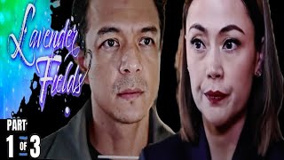 Lavender Fields  FULL EPISODE  Nov 2024  Advance Episode  Nagtago [upl. by Asilam]