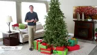 75ft Natural Cut Layered Green River Spruce  Product Review Video [upl. by Rabassa]