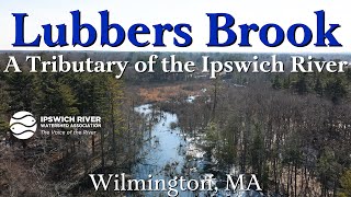 Lubbers Brook Wilmington MA  High Water Survey [upl. by Ettenor]