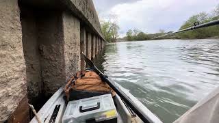 BIG freshwater river fish hits CHATTERBAIT Indiana river fishing [upl. by Annaerb]