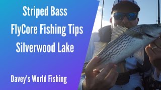 Kayak Fishing  Striped Bass  FlyCore Tips  Silverwood Lake [upl. by Enilada877]