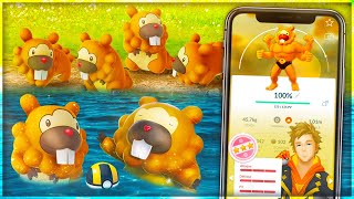 MAGNIFIQUE CE BONUS  LVL 50  NOUVEAUX SHINY amp QUÊTES  GUIDE ÉVÉNEMENT KEUNOTOR  NEWS POKÉMON GO [upl. by Anaihsat]