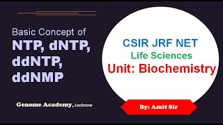 Concept of NTP dNTP ddNTP ddNMP  CSIR  NEET  IIT JAM  GATE  Life Sciences  JRF  By Amit Sir [upl. by Scottie667]