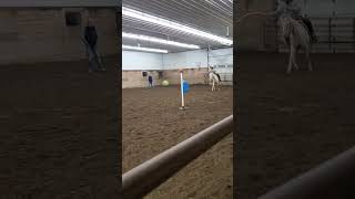 OT with Canon 😍 autism empoweringautism horse [upl. by Eerised]