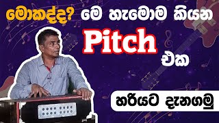 What Is Pitching  Voice training sinhala  How To Sing කටහඬ පුහුණුව  සෘතියට ගයන්නේ කොහොමද [upl. by Nepsa252]