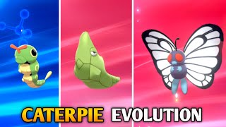 How To Evolve Caterpie Into Metapod And Butterfree In Pokemon Sword amp Shield  Galar Pokedex [upl. by Maribeth]