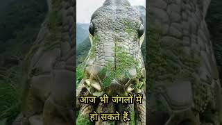 kya aap jante hain  Did u know this ytshorts jawedfacts facts snkae [upl. by Anse467]