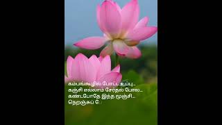 Thamarai poovukum song lyrics whatsappstatus youtubeshorts Relaxing video subscribe [upl. by Nata760]