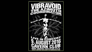 Vibravoid  Live At The Cavern  In A Gadda Da Vida radio broadcast official audio [upl. by Halla]