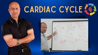 Cardiac Cycle  Cardiovascular  Cardiology [upl. by Normand920]