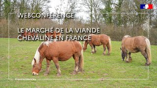 Le marché de la viande chevaline en France  Céline Vial et Xavier Dornier [upl. by Ekalb]