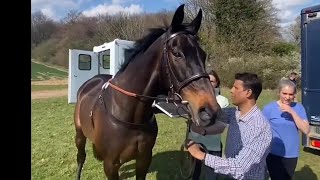 The Greatest UK Trained Chaser Sprinter SacreI think soRacing Legends [upl. by Zola939]