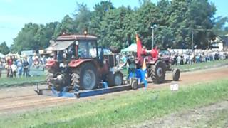 Traktorpulling  Belarus MTS 5 [upl. by Hareenum255]