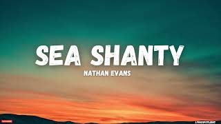 Nathan Evans  Wellerman Sea Shanty Lyrics [upl. by Steffin672]