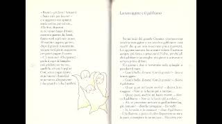 La testuggine e il gabbiano  Audiolibro per bambini [upl. by Shelby]