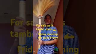 Nov 1 dance walis dance broom [upl. by Xylina339]