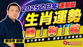 【雞🐓、狗🐕、豬🐖】2025乙巳蛇年十二生肖運勢預測｜2025犯太歲、人緣運、財運、事業運、姻緣運生肖詳講《劉法奇玄真堂︱第60集》CC字幕︱蛇年運程︱生肖運程︱FMTV [upl. by Barraza]