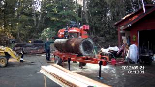 WoodMizer LT40 and a huge Douglas Fir [upl. by Ahsimin]