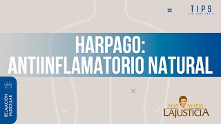 ✏️TIPS con Lara Feliu 𝗛𝗔𝗥𝗣𝗔𝗚𝗢𝗙𝗜𝗧𝗢 antiinflamatorio natural [upl. by Eniamat]