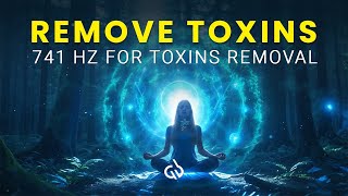 Remove Toxins Frequency 741 Hz Solfeggio to Get Rid of Toxins [upl. by Leonie729]