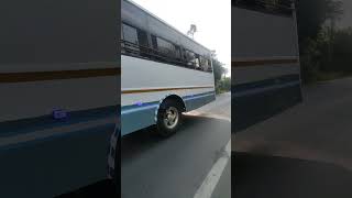 GSRTC Fully DECORATED BUS 🤩 shortvideo bus viralvideo yoytubeshorts youtube [upl. by Wartow]