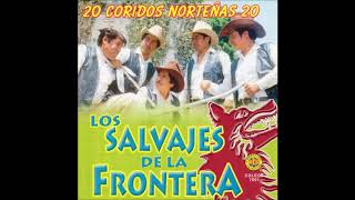 Los Salvajes de la Frontera  20 Coridos Nortenas Disco Completo [upl. by Pani]