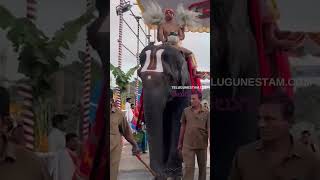 Rare Scene At Tirumala Sri Venkateswara Swamy Temple [upl. by Esinaj]