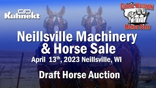 2023 Neillsville Machinery amp Horse Sale  Draft Horse Sale [upl. by Aleekahs742]