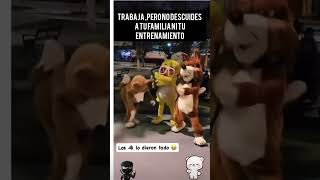 Los lobitos bailando lobitosbailando [upl. by Agata244]