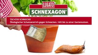 Das ökologische Mittel gegen Schnecken im Garten I LUGATO I Schnexagon [upl. by Moffat]