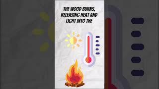 Exothermic and Endothermic Reactions chemistry learning science [upl. by Rangel]