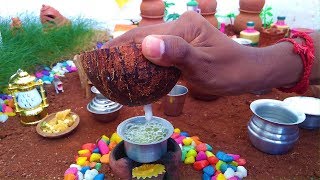 Mini Milk Bites  Paal Paniyaram  Miniature Cooking  Paal Kolukattai [upl. by Ispep]