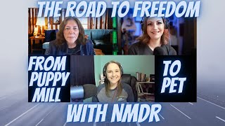 Ep30 The Road to Freedom with Theresa Strader of National Mill Dog Rescue [upl. by Anayik]