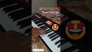 TARPA MUSIC PIANO djniluvansda song piano pianotutorial tarpalovertarpasong tarpanilumusical [upl. by Annawat]