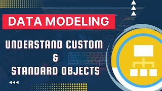 Salesforce Trailhead  Understand Custom amp Standard Objects [upl. by Martineau]