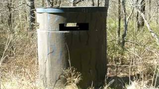 American Black Vulture quotBuzzardquot Eggs in a Deer Blind [upl. by Phionna]