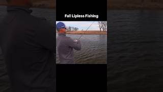 Fall Lipless Crankbait Fishing [upl. by Ennovihs]