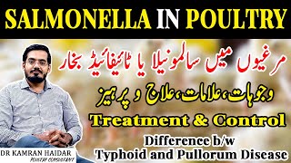 Salmonella in Poultry  Fowl Typhoid and Pullorum Disease  Murghiyon mein Typhoid Fever ki Bemari [upl. by Larret]