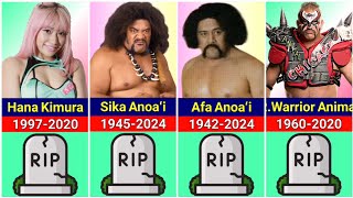 Recent WWE Wrestlers Deaths  BilliBhai [upl. by Dani]