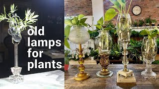 REPURPOSE OLD LAMPS FOR PLANT PROPAGATOR [upl. by Leunamne]