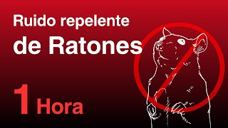 Ruido Repelente de Ratones y Ratas  Sonido ultrasónico inaudible No compatible con iPhone [upl. by Madlen]