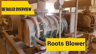 How Roots Blower works  Detailed overview  Lobes  Working Principle [upl. by Enegue927]