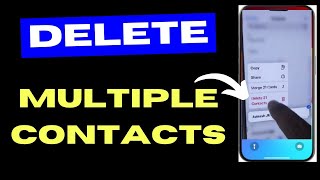 How to Delete Multiple Contacts on iPhone at one click [upl. by Eselahc556]